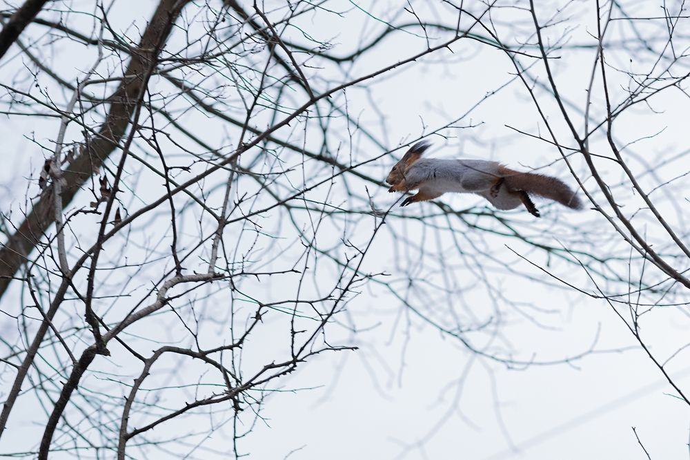 Photograph by Роман Гуров