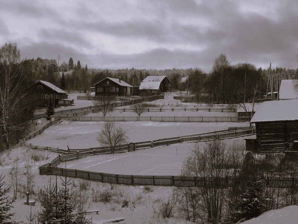 Photograph by Людмила Кононова