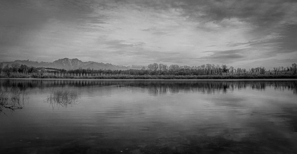 Photograph by Eva Wiedemann