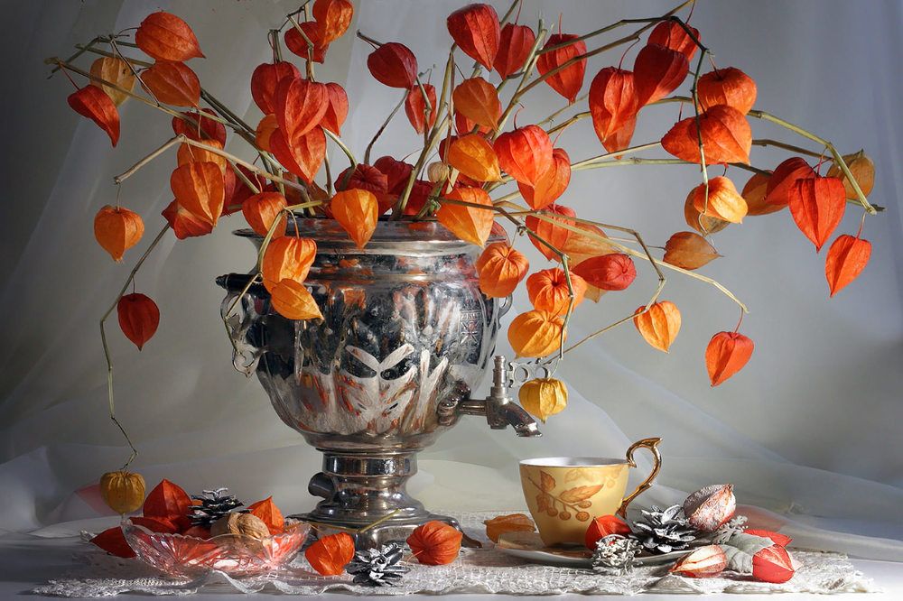 Photograph by Заболотская Ольга