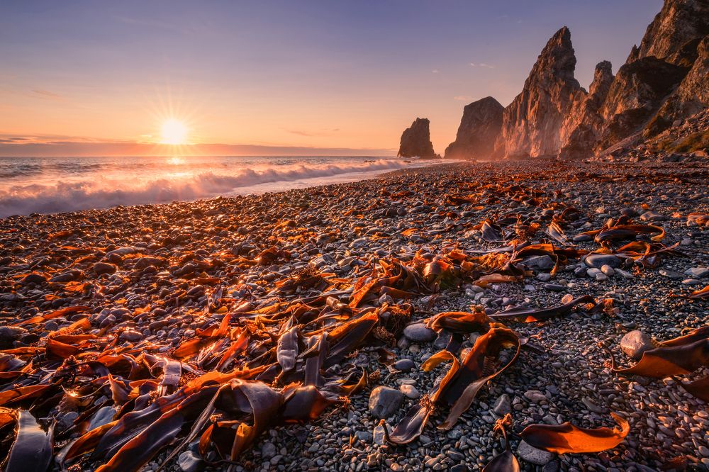 Photograph by Ольга Мусиенко