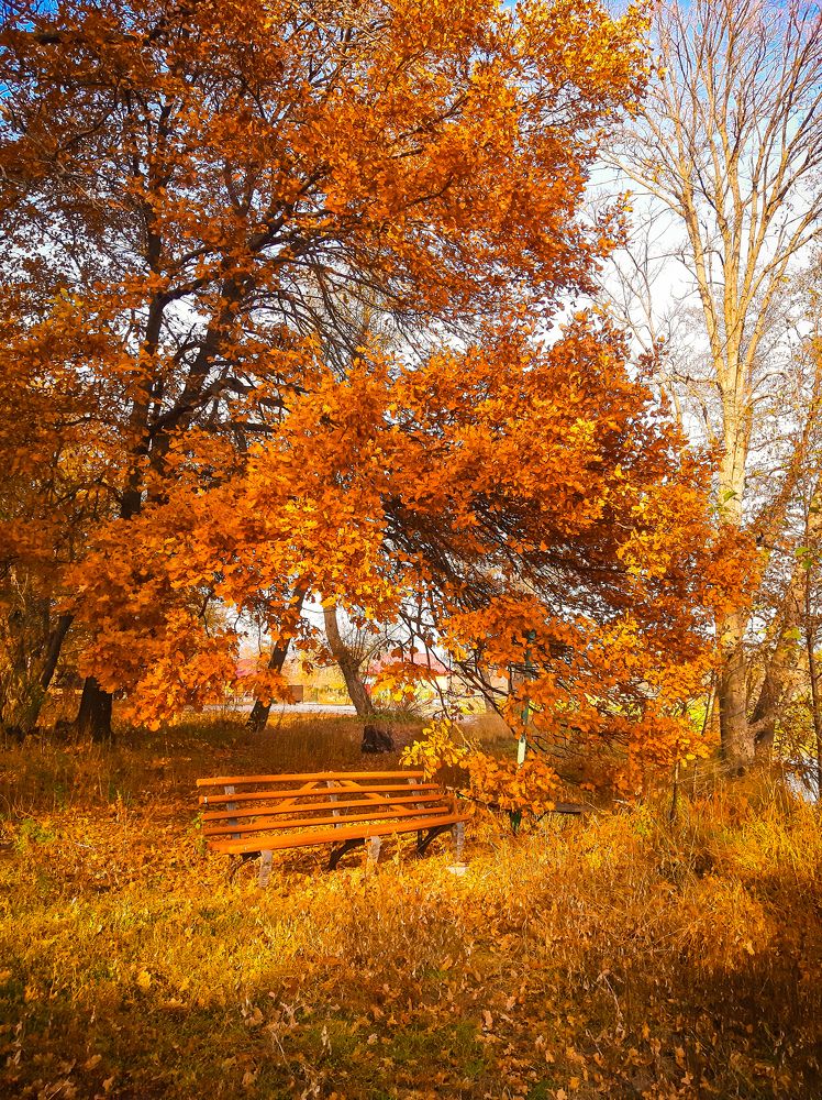 Photograph by Юлия Закопайло