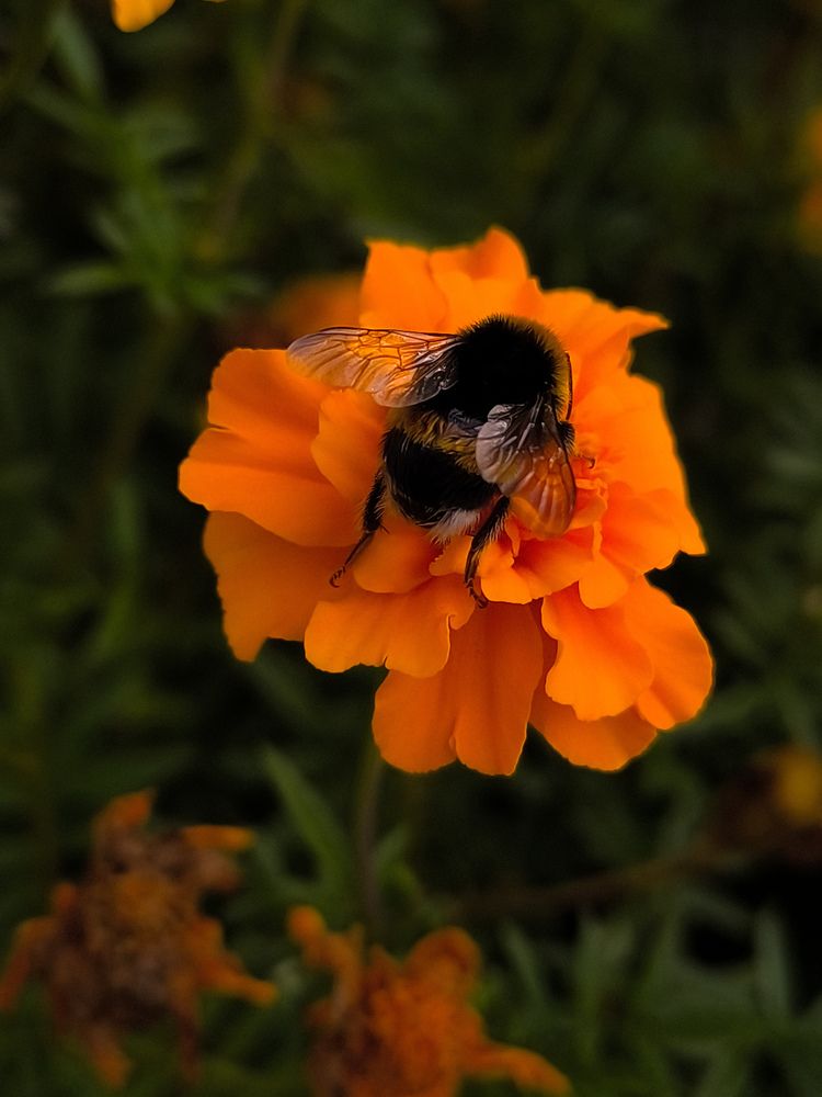 Photograph by Катрина Покумейко