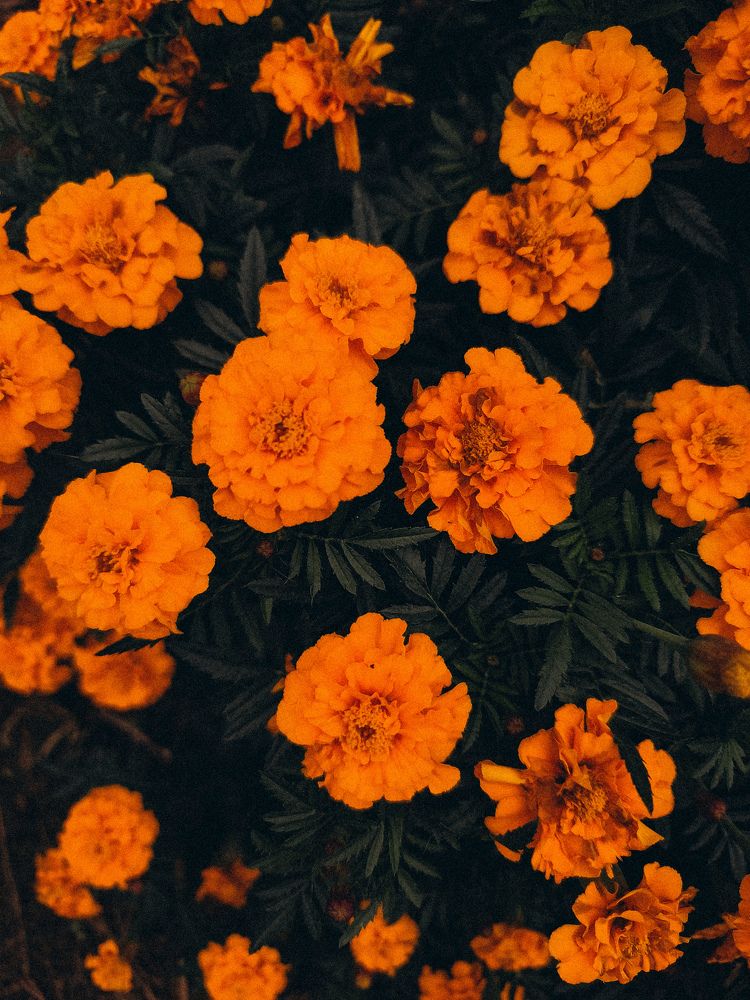 Photograph by Катрина Покумейко