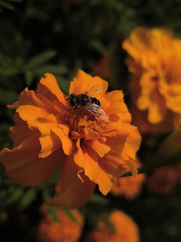 Photograph by Катрина Покумейко