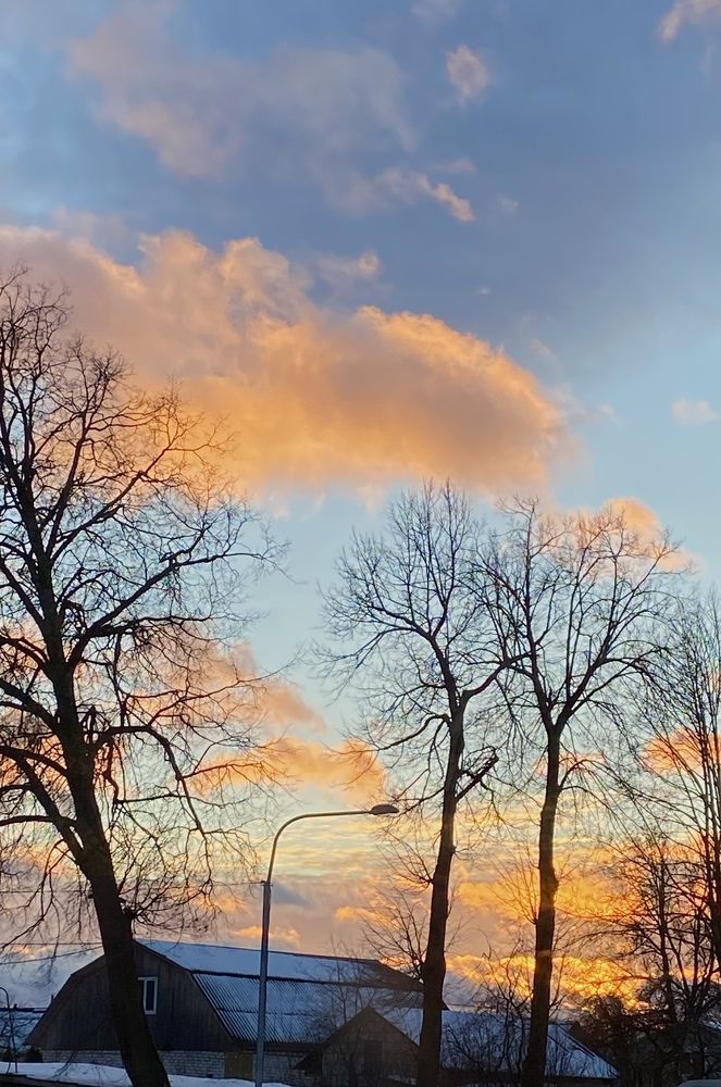 Photograph by Анна Кулакова