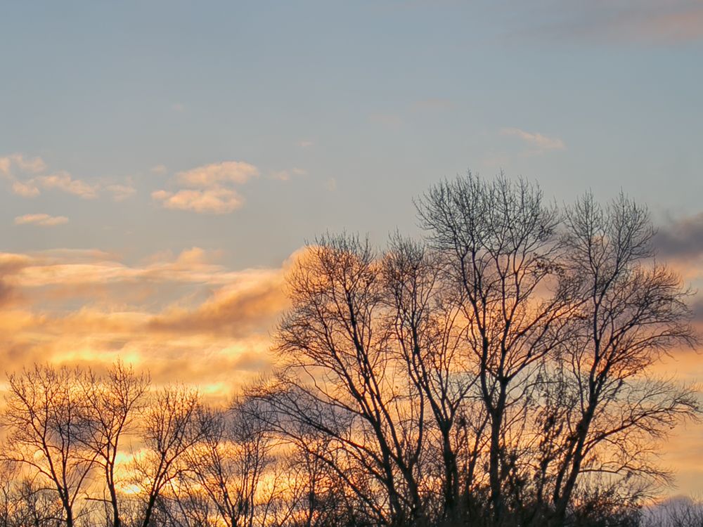 Фотография автора Елена Чиликина