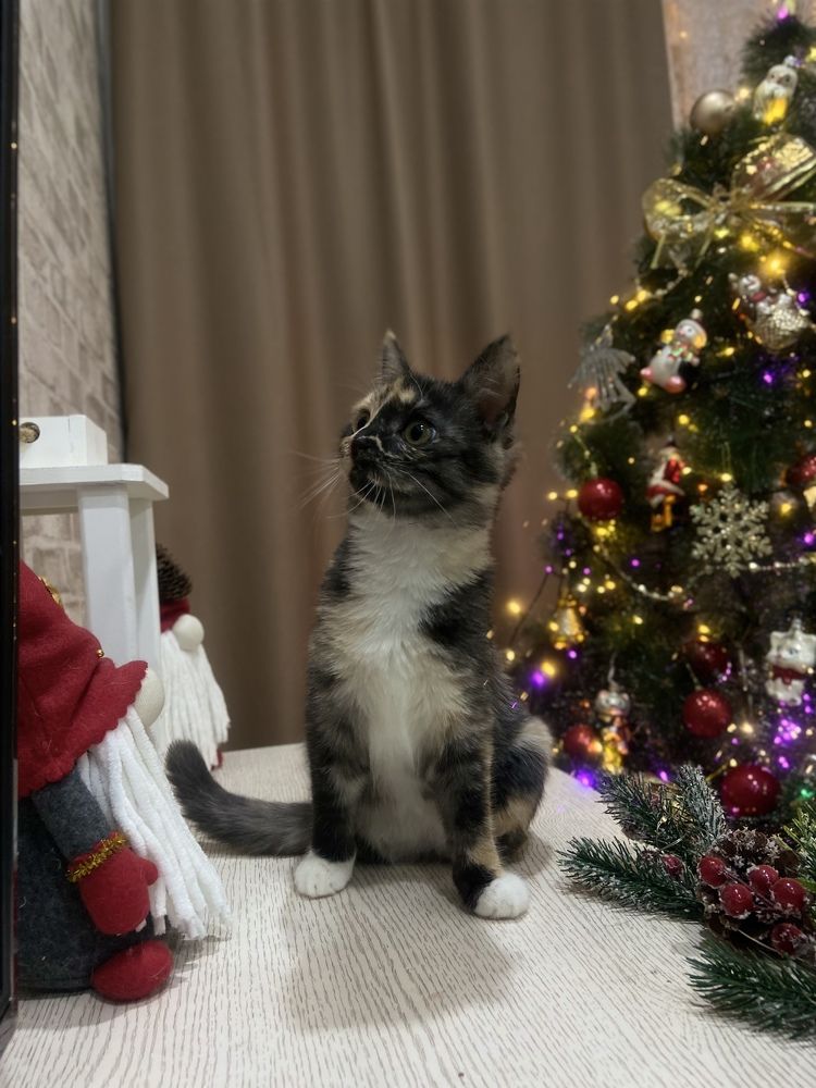 Photograph by Наталья Душакова