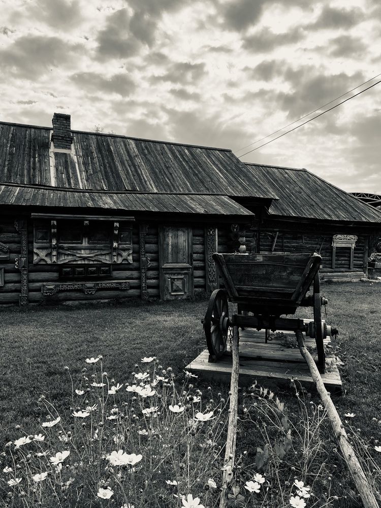 Photograph by Наталья Душакова