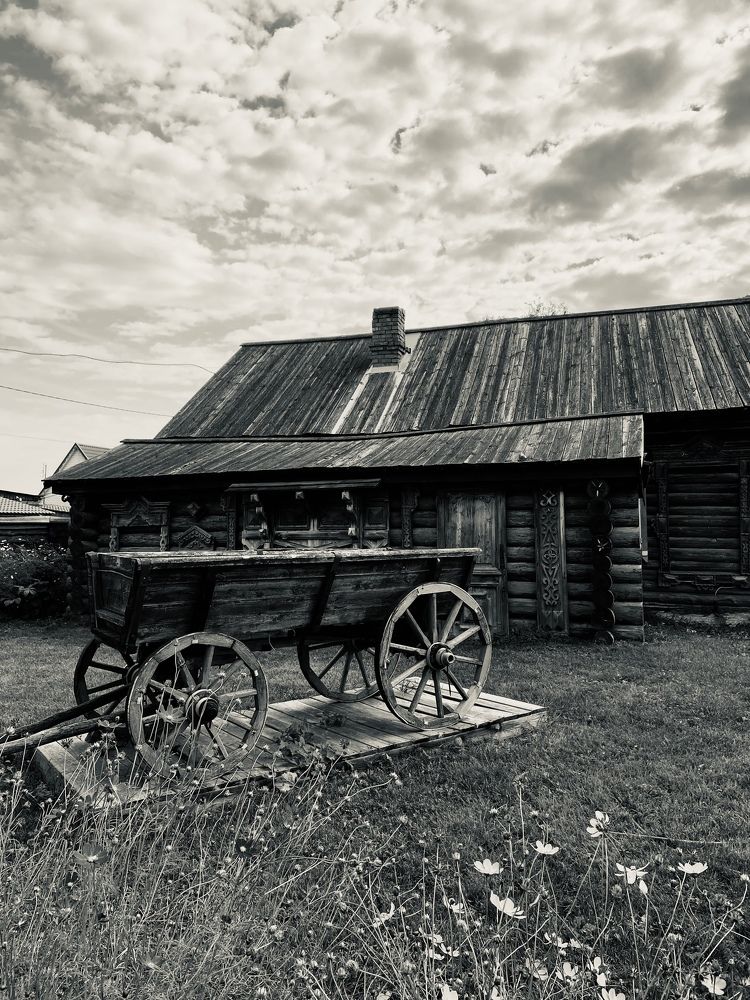 Photograph by Наталья Душакова