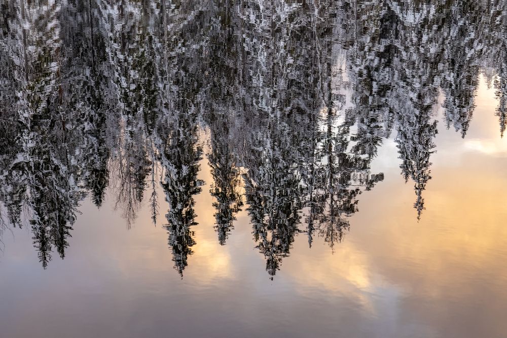 Photograph by Алексей Фрилунд