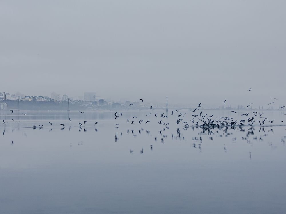 Фотография автора Елена Чиликина