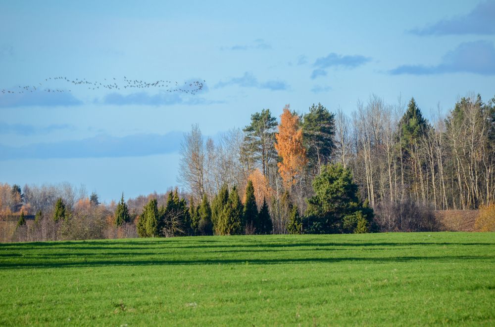Photograph by Николай Соколовский