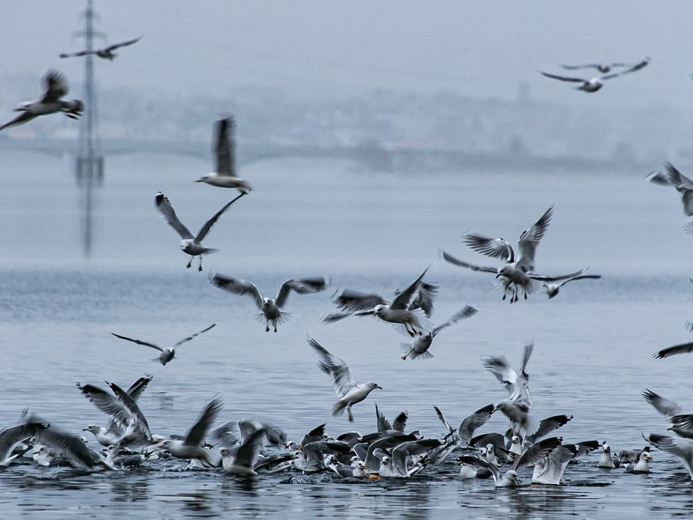 Фотография автора Елена Чиликина