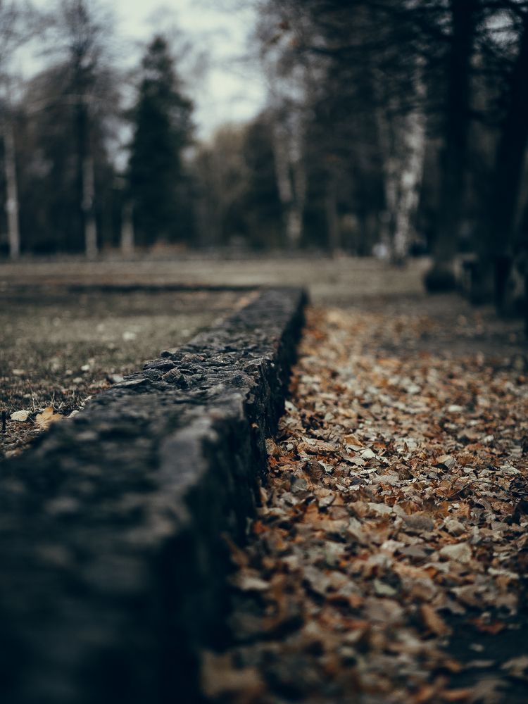 Фотография автора Елена Чиликина