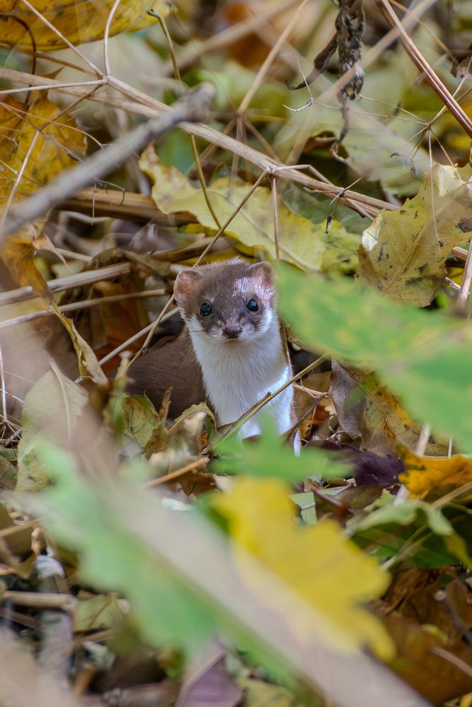 Photograph by Мамсур