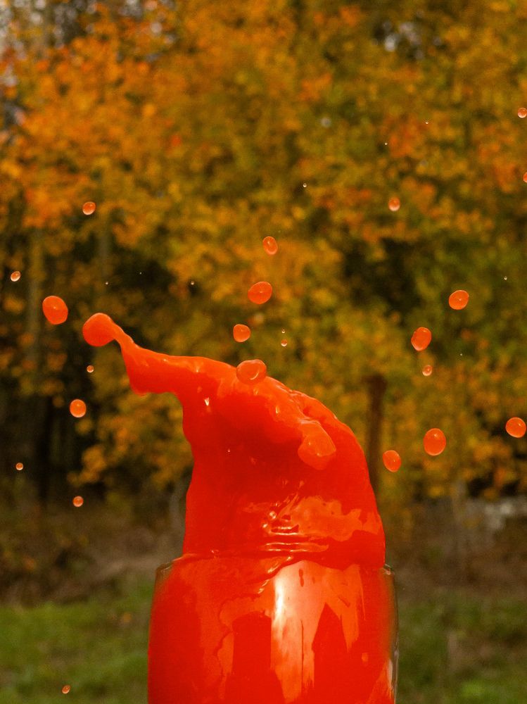 Photograph by Анастасия Конина