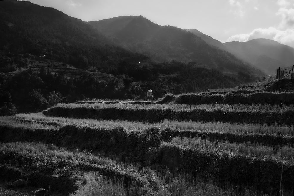 Фотография автора Nguyễn Minh