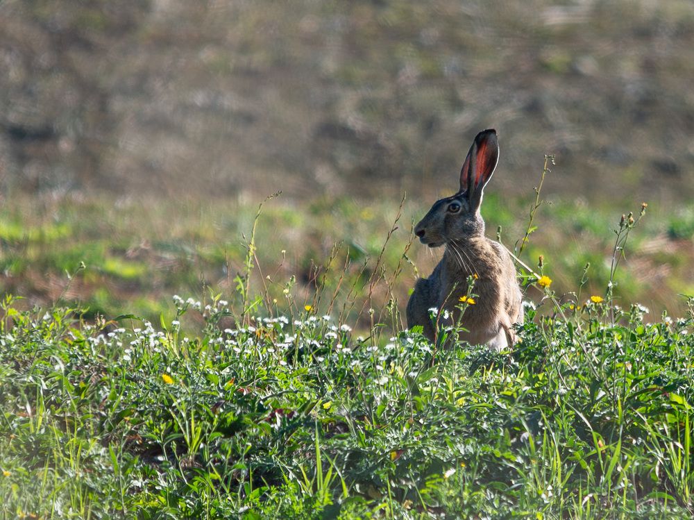 Photograph by Мамсур