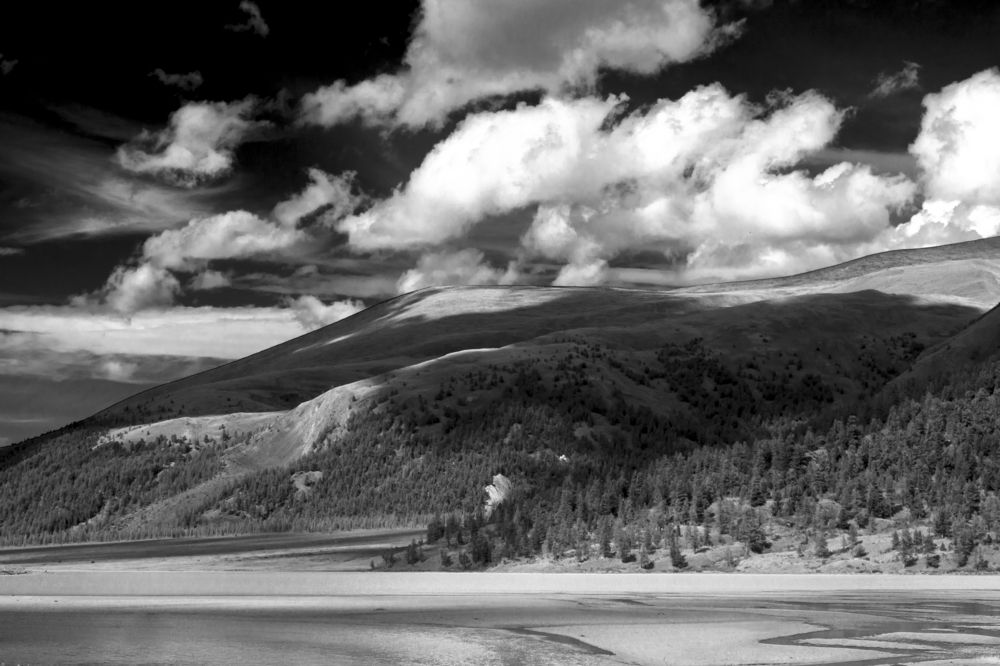 Фотография автора Наталья Дороднова