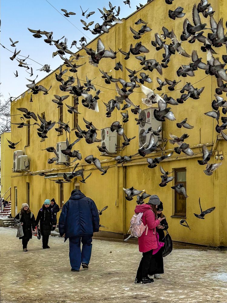 Фотография автора Графов Борис