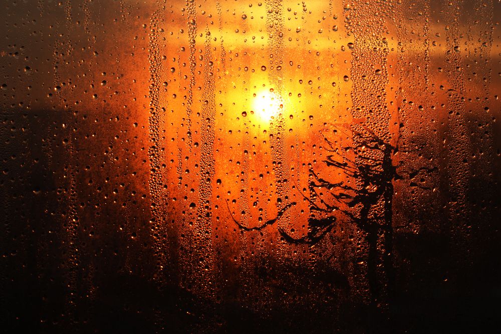 Photograph by Наталья Ермакова