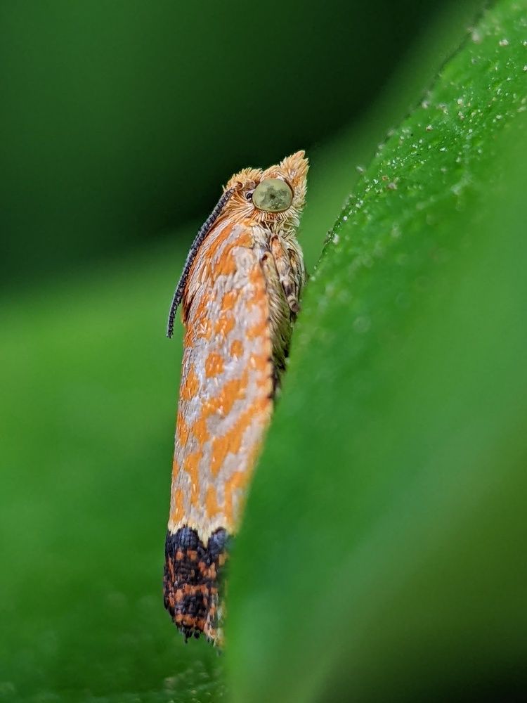 Photograph by Sai Krishna