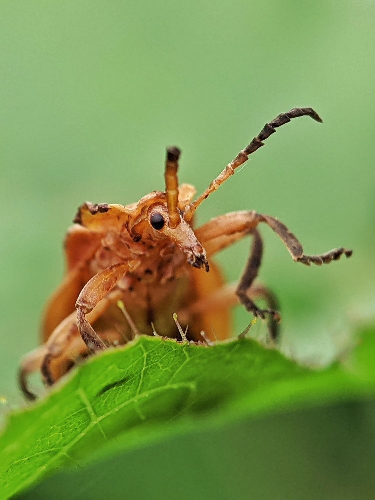 Photograph by Sai Krishna