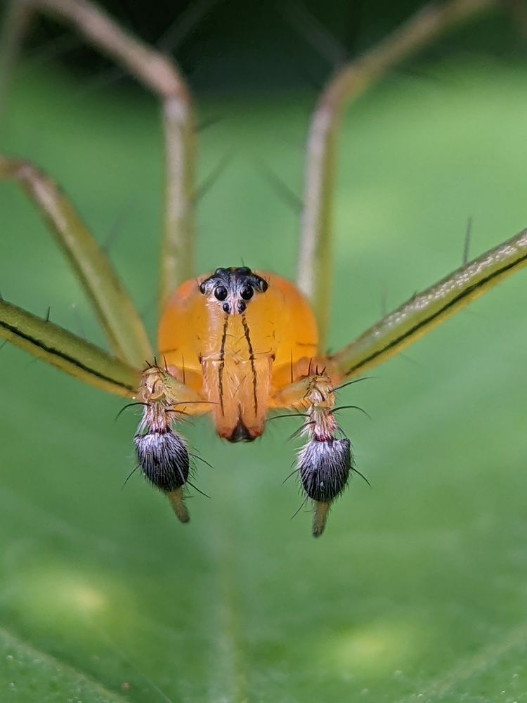 Photograph by Sai Krishna