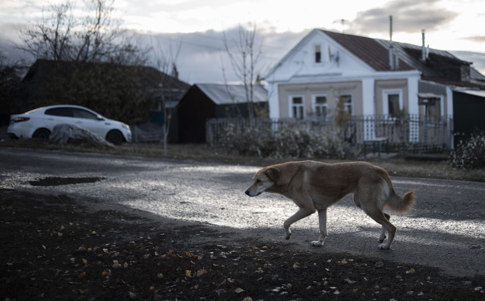 Photograph by Павел Соснин