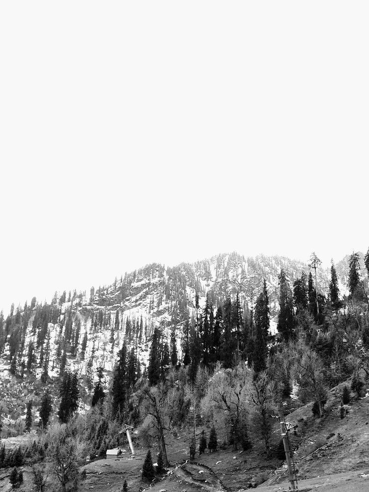 Photograph by Sai Krishna