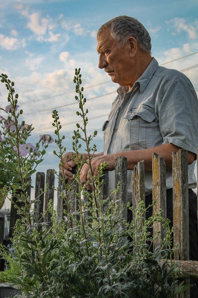 Photograph by Любовь Иванова