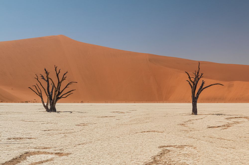 Photograph by Елена Захарова