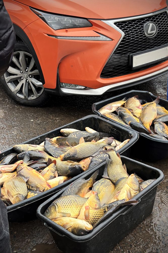 Фотография автора Графов Борис