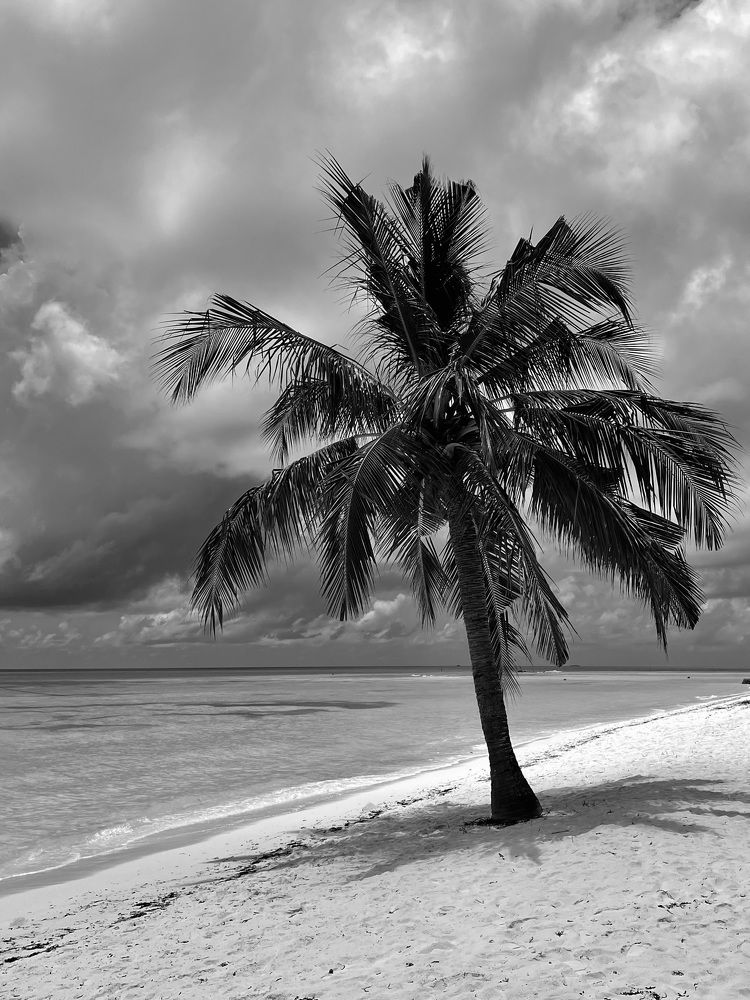 Photograph by Оксана