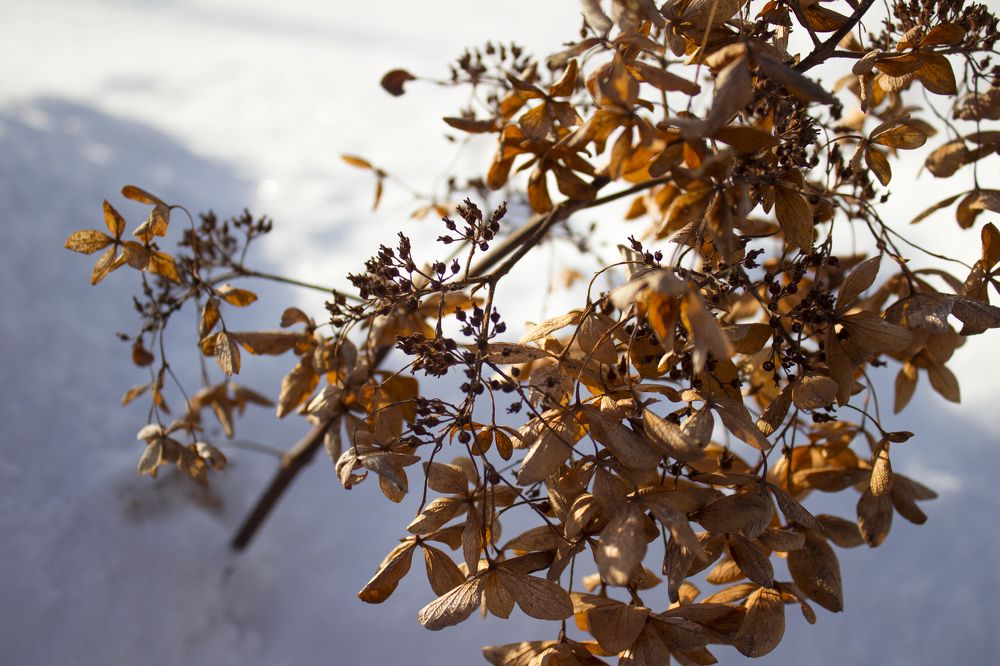 Photograph by Дарья Беляева