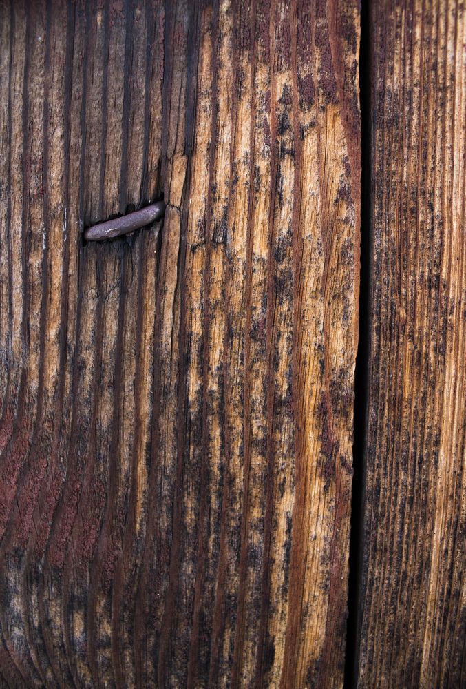 Photograph by Дарья Беляева