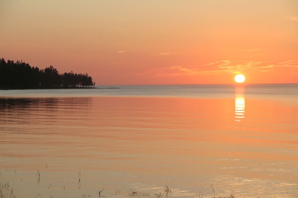 Photograph by Анастасия Бородина