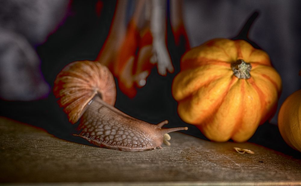 Photograph by Екатерина Каминская