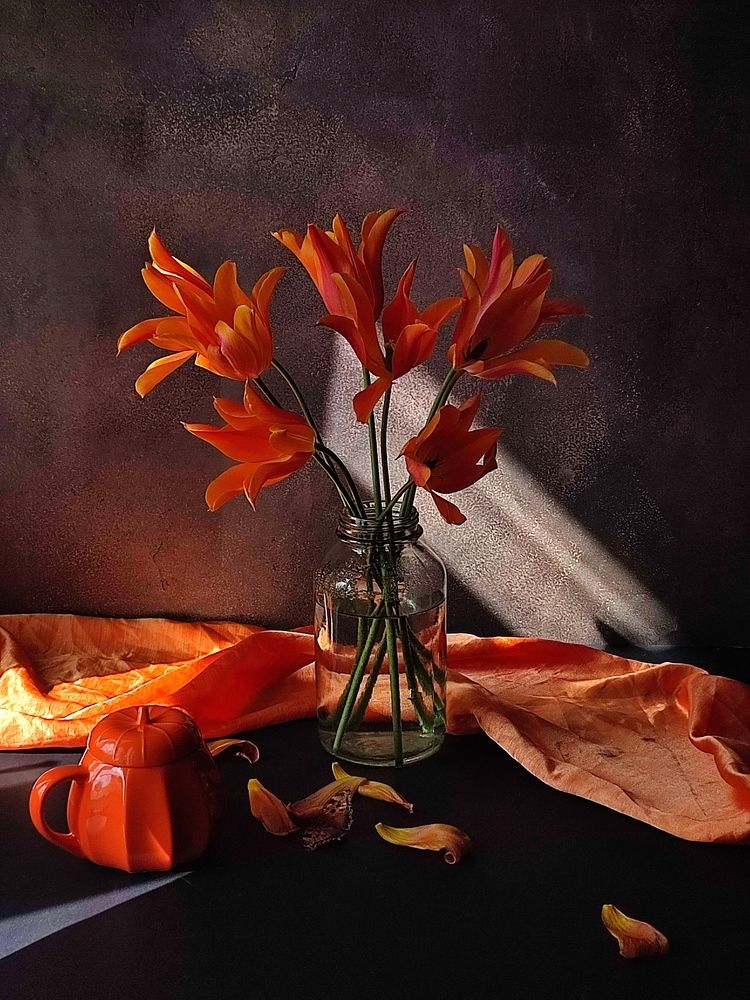 Photograph by Galina Novichkova