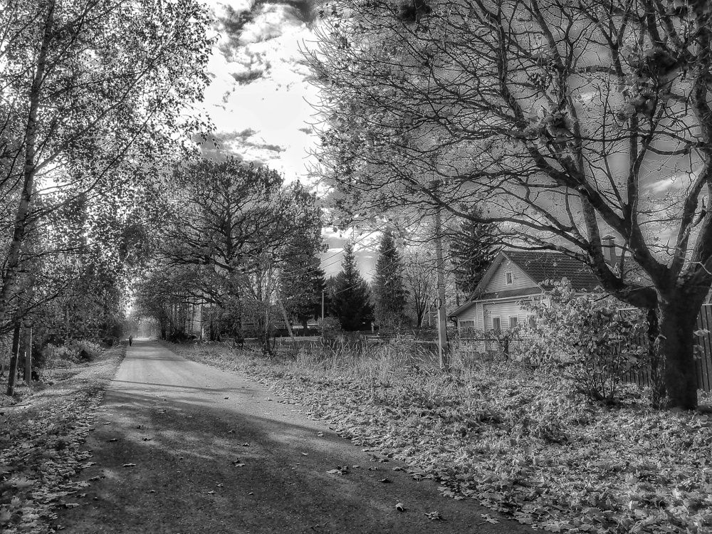 Деревенский пейзаж