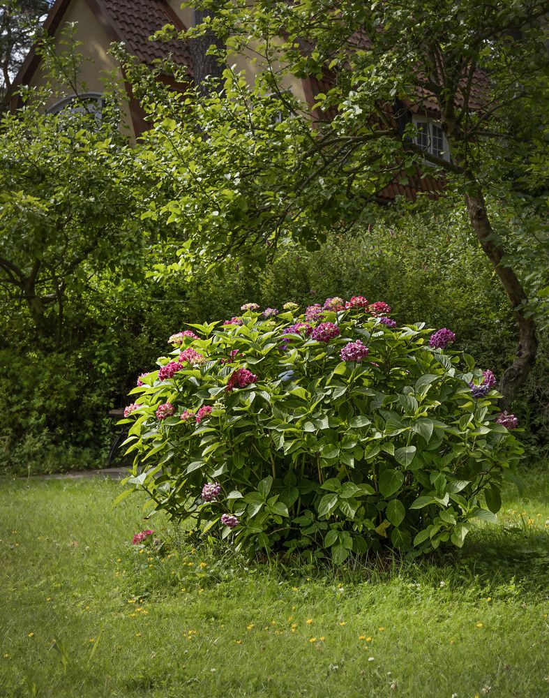 Photograph by Zhdanova Maria