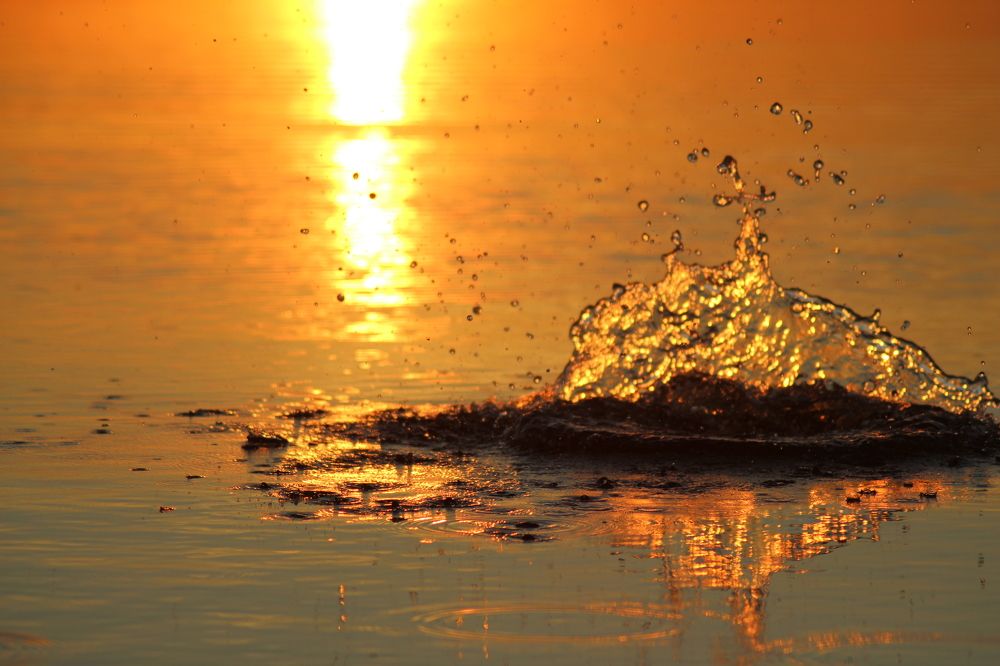 Photograph by Валентина