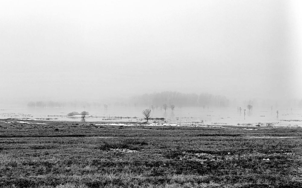 Photograph by Юрий Варюхин