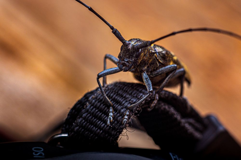 Photograph by Сильва Татьяна