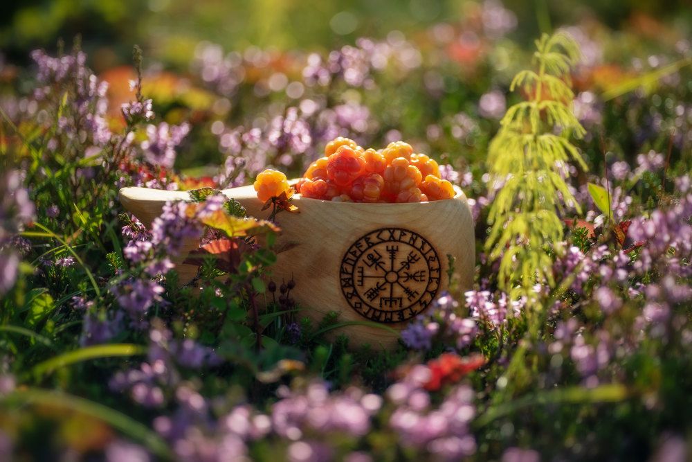 Photograph by Марина Зборацкая