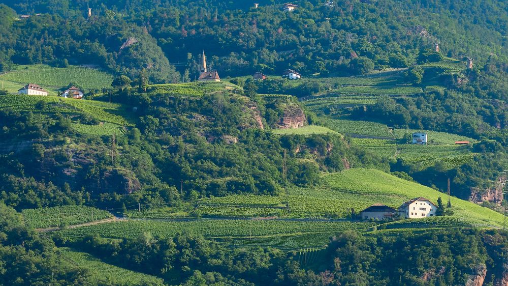 Photograph by Ranko Dokmanovic