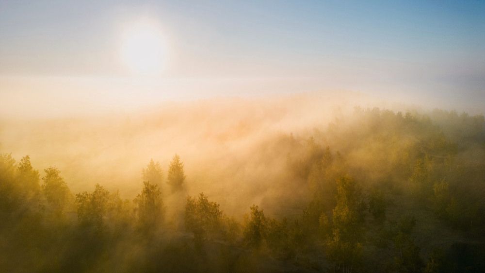 Photograph by Сильва Татьяна