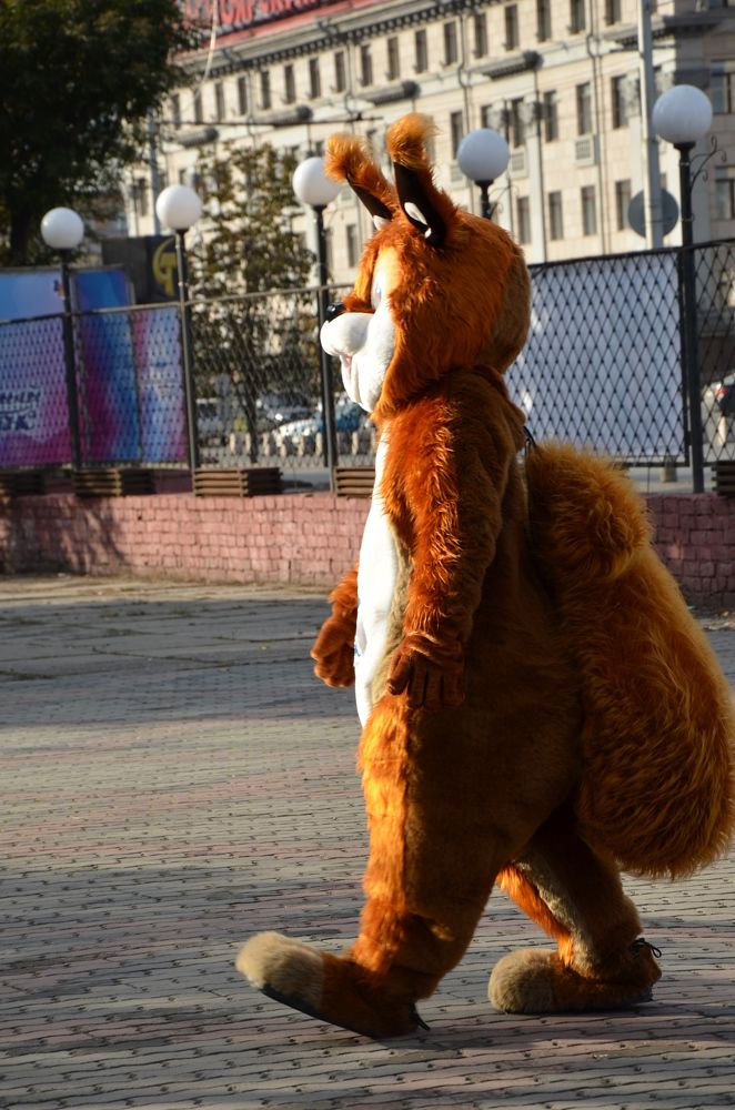 Photograph by Людмила Воропаева