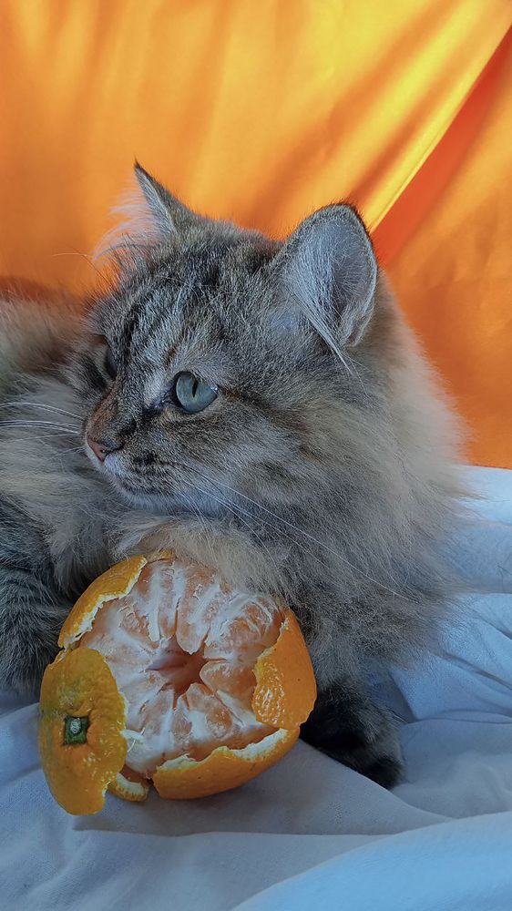Photograph by Людмила Мелашич
